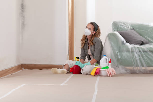 Reliable Mold Removal contractor in Henderson, TX by WQB Mold Removal